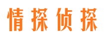 临武情探私家侦探公司